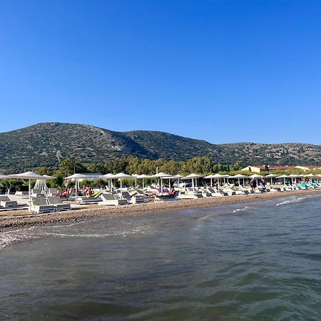 Вілла Holiday Oasis With Private Patio And Hammam-Style Bath In Chora-Pithagoreo, Samos Island Піфагорея Екстер'єр фото